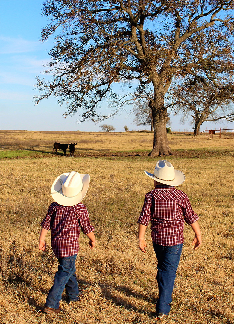 The back of two farmers wearing cowboy hats walking through a cow pasture